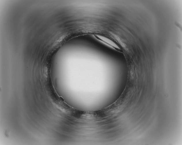 X0000096200211200802011307