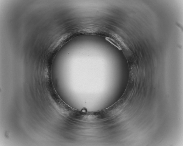 X0000096200212200802011307