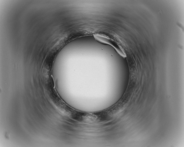 X0000096200215200802011307