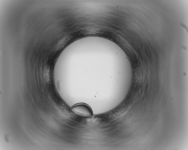 X0000096200216200802011307