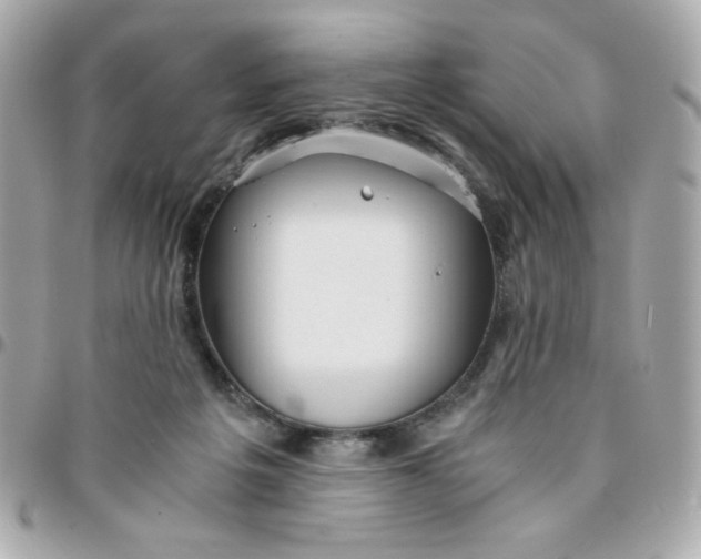 X0000096200217200802011307