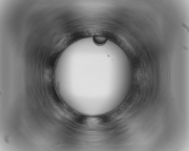 X0000096200218200802011307