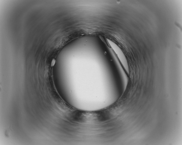 X0000096200221200802011307