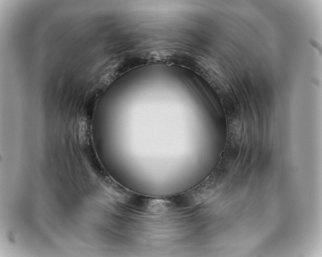 X0000096200222200802011307