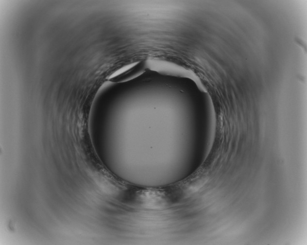 X0000096200223200802011307