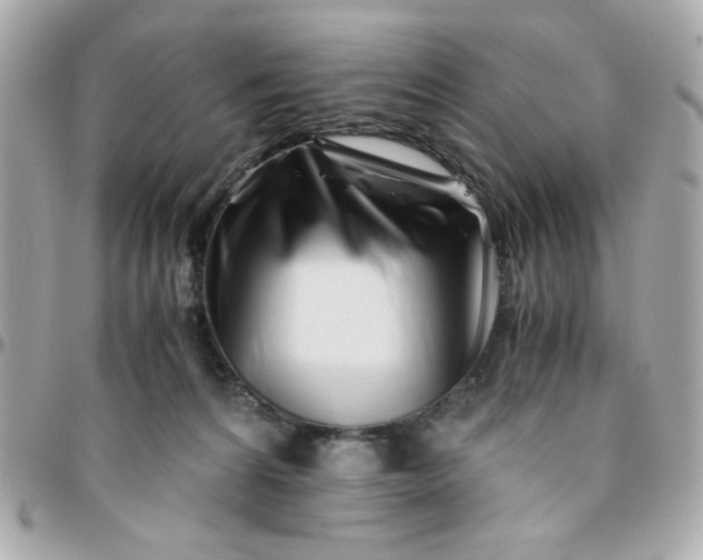 X0000096200224200802011307