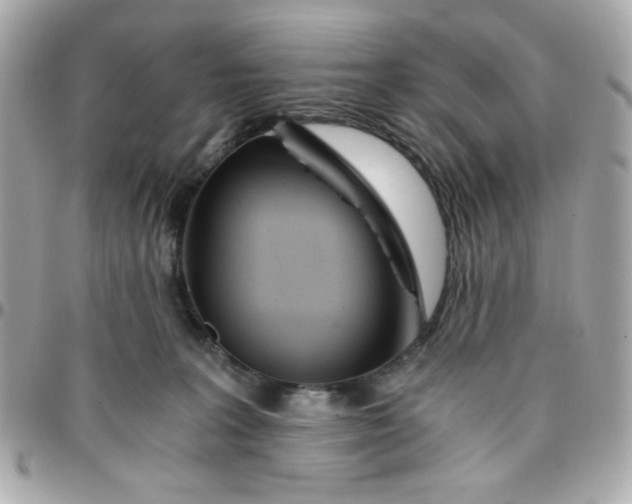 X0000096200227200802011307