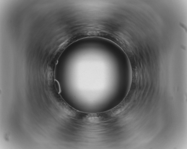 X0000096200228200802011307