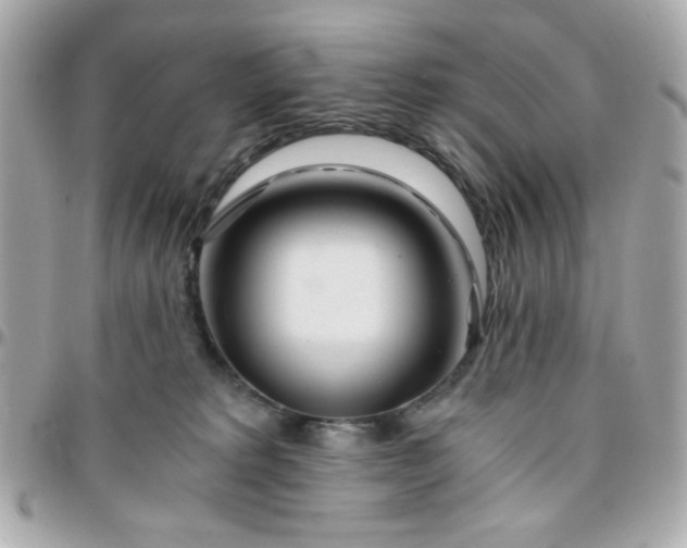 X0000096200229200802011307