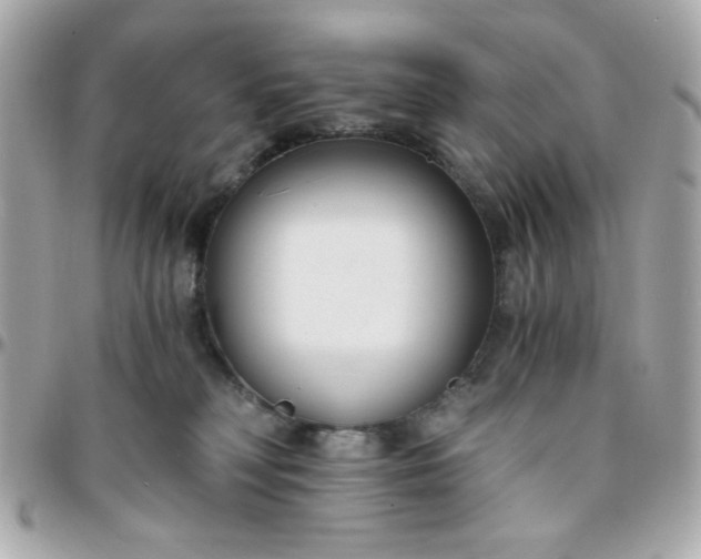 X0000096200230200802011307