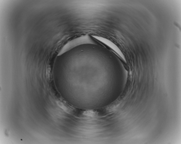 X0000096200231200802011307