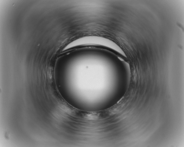 X0000096200232200802011307