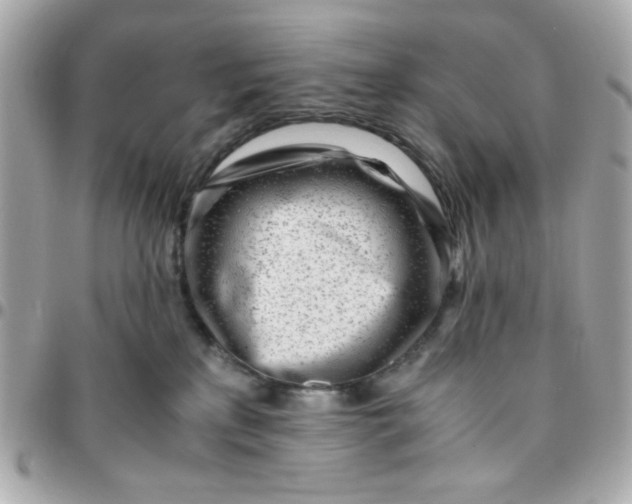 X0000096200233200802011307