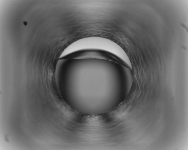 X0000096200235200802011306