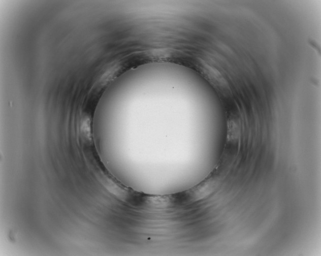 X0000096200238200802011306