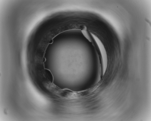 X0000096200239200802011306