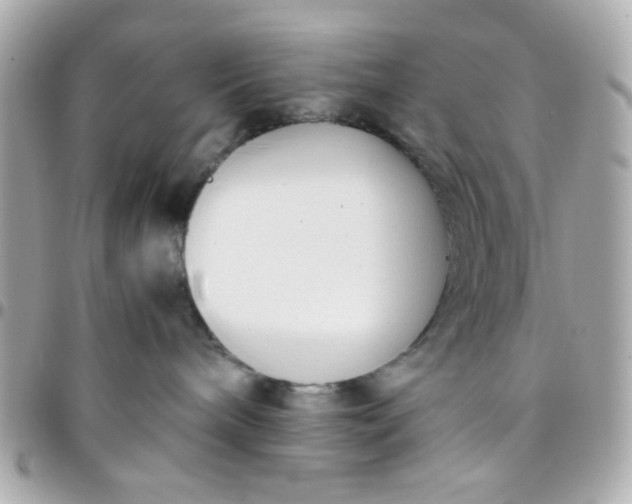 X0000096200240200802011306