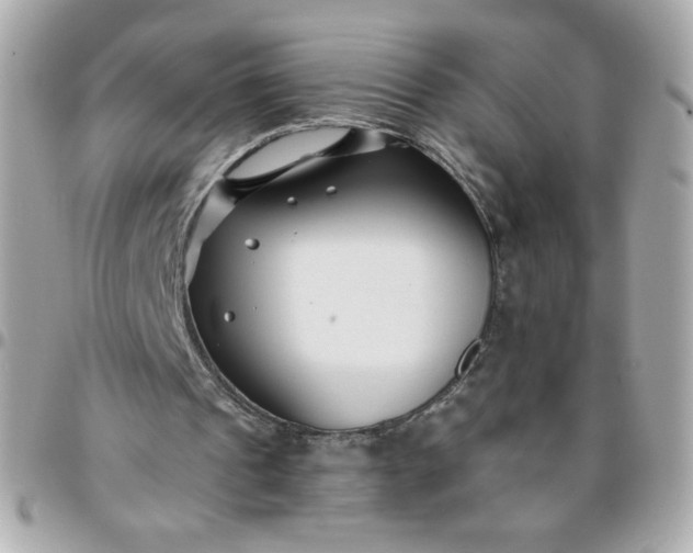 X0000096200241200802011306