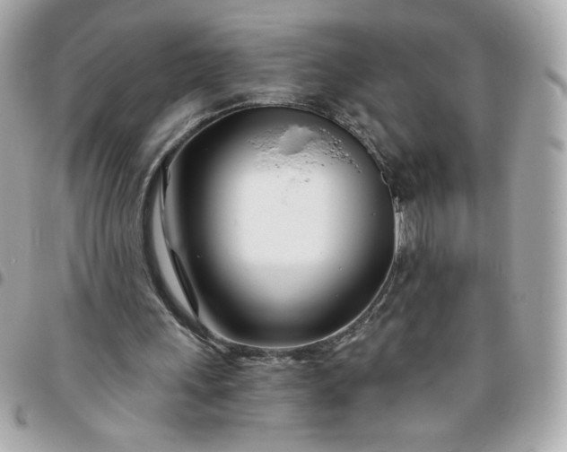 X0000096200243200802011306