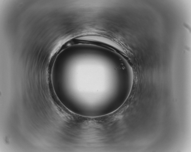 X0000096200244200802011306