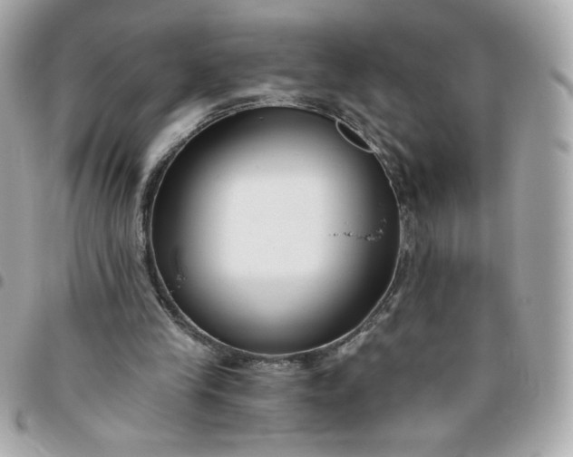 X0000096200245200802011306