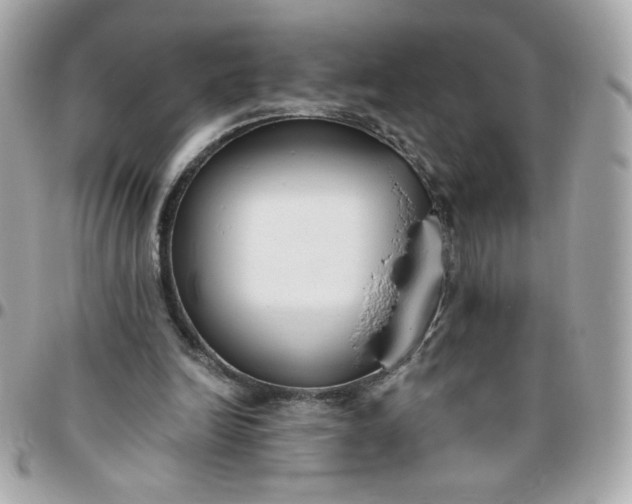 X0000096200246200802011306