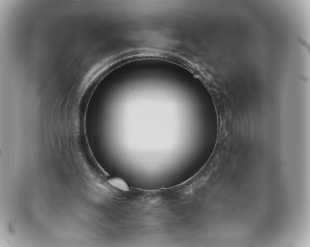 X0000096200247200802011306