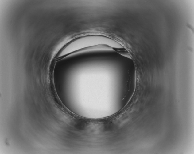 X0000096200248200802011306