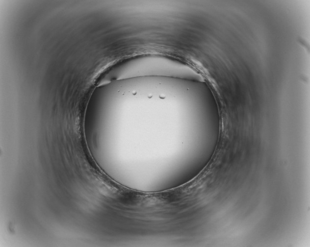 X0000096200249200802011306