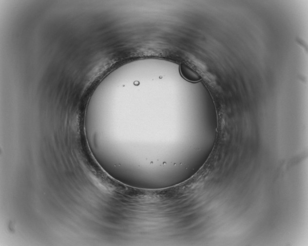 X0000096200250200802011306