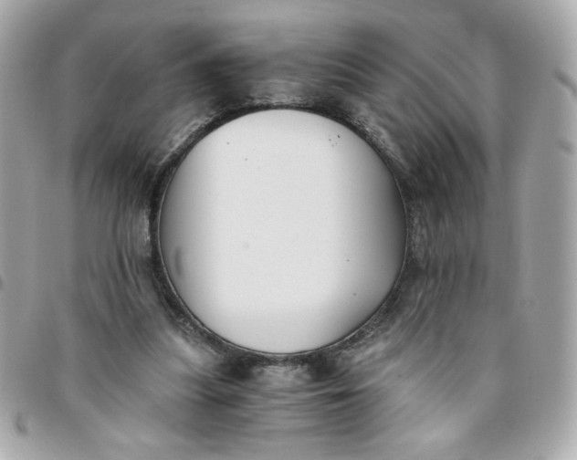 X0000096200251200802011306