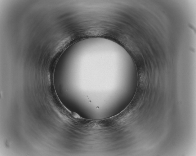 X0000096200254200802011306