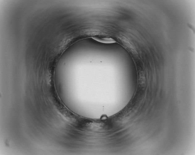 X0000096200255200802011306