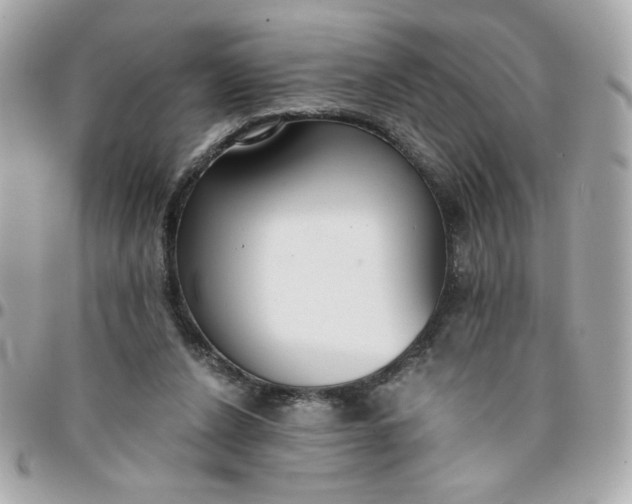 X0000096200256200802011306