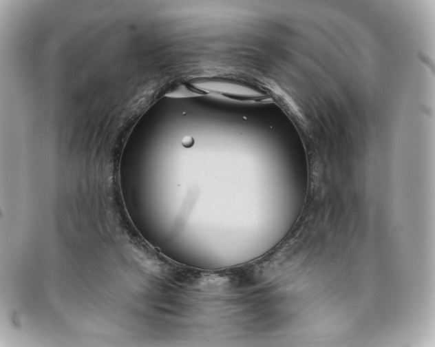 X0000096200257200802011306