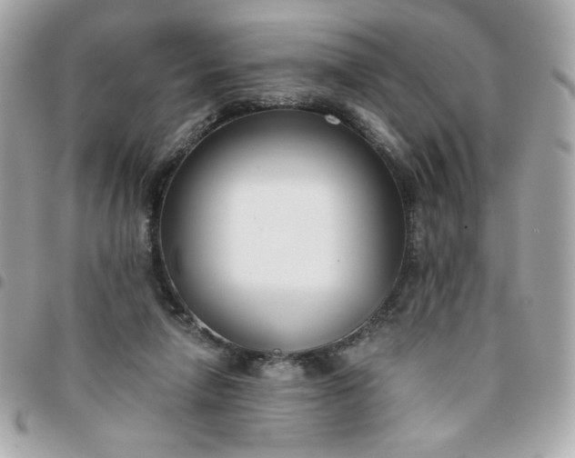 X0000096200258200802011306