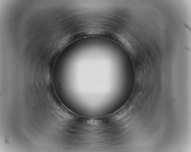 X0000096200261200802011306