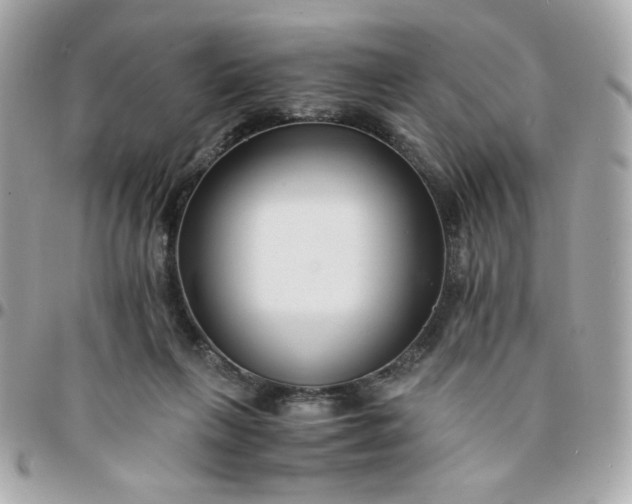 X0000096200263200802011306