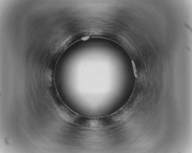 X0000096200264200802011306