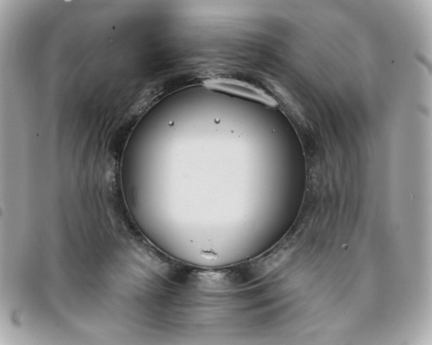 X0000096200265200802011306