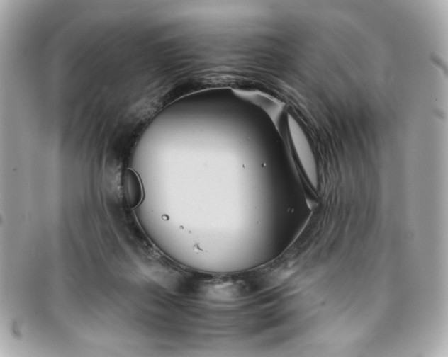 X0000096200267200802011306