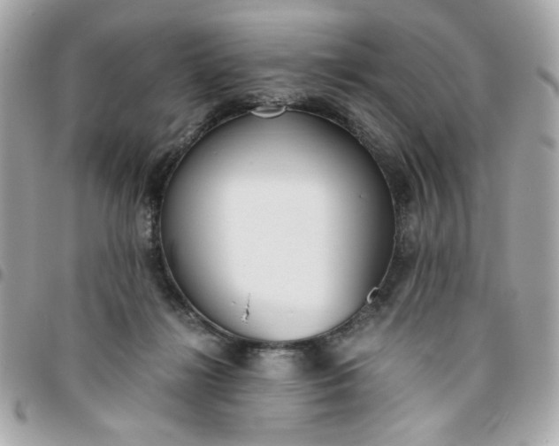 X0000096200268200802011306