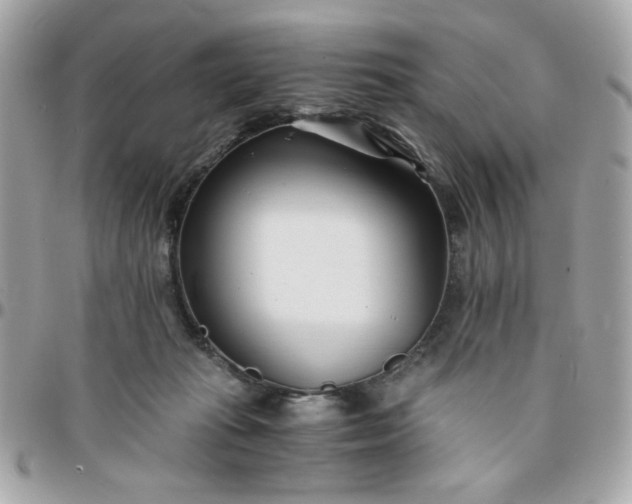 X0000096200269200802011306