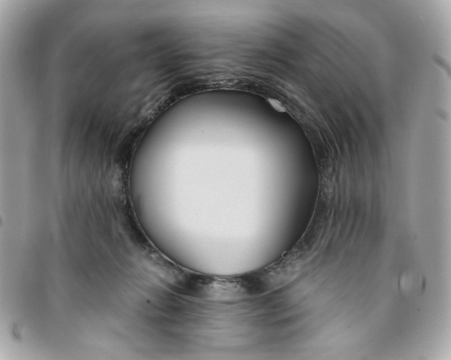 X0000096200270200802011306