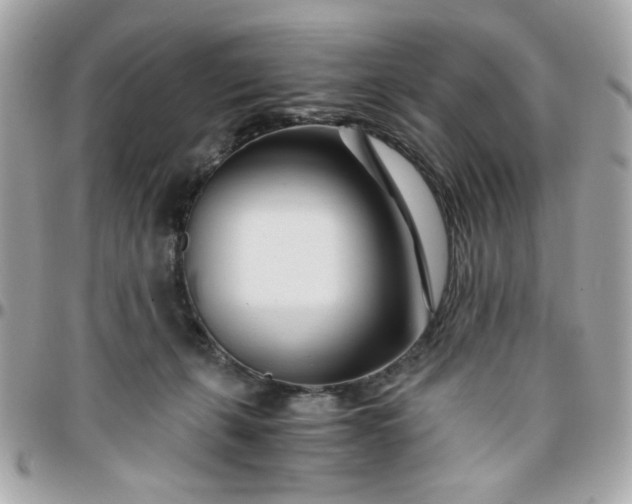 X0000096200271200802011306