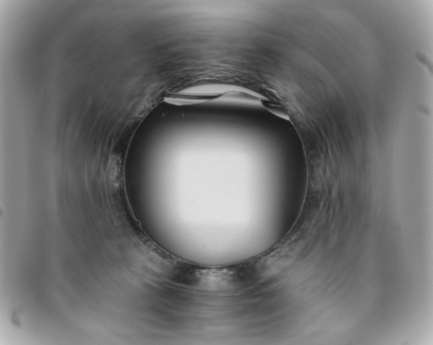 X0000096200273200802011306