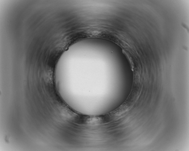 X0000096200274200802011306