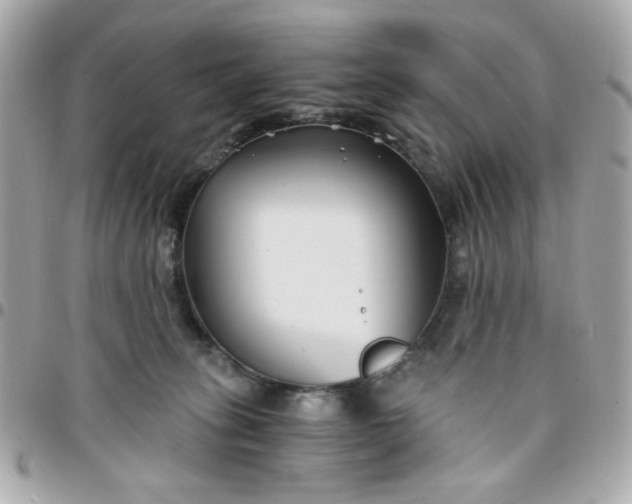 X0000096200275200802011306