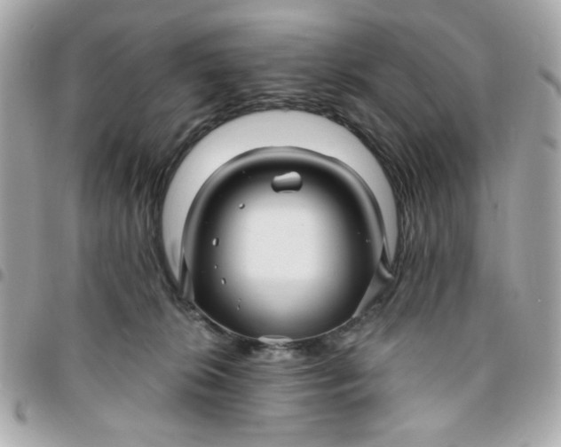 X0000096200276200802011306