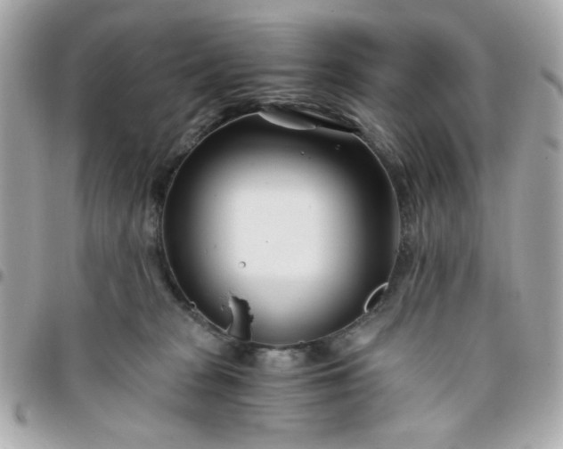 X0000096200277200802011306